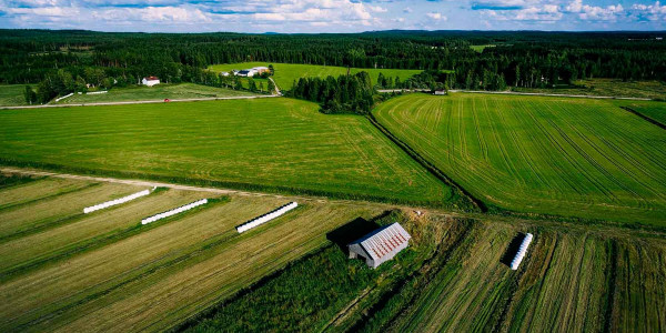 Estudios de suelos agrícolas en la Garrotxa