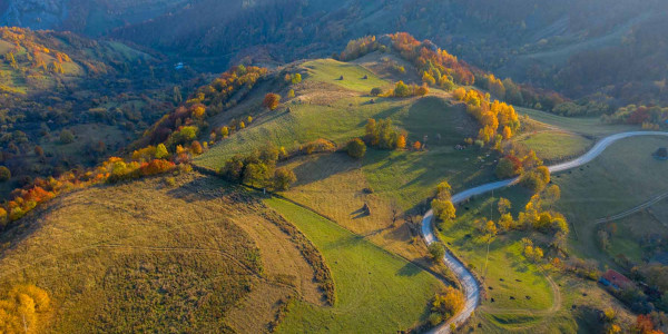 Análisis Edafológicos en la Garrotxa